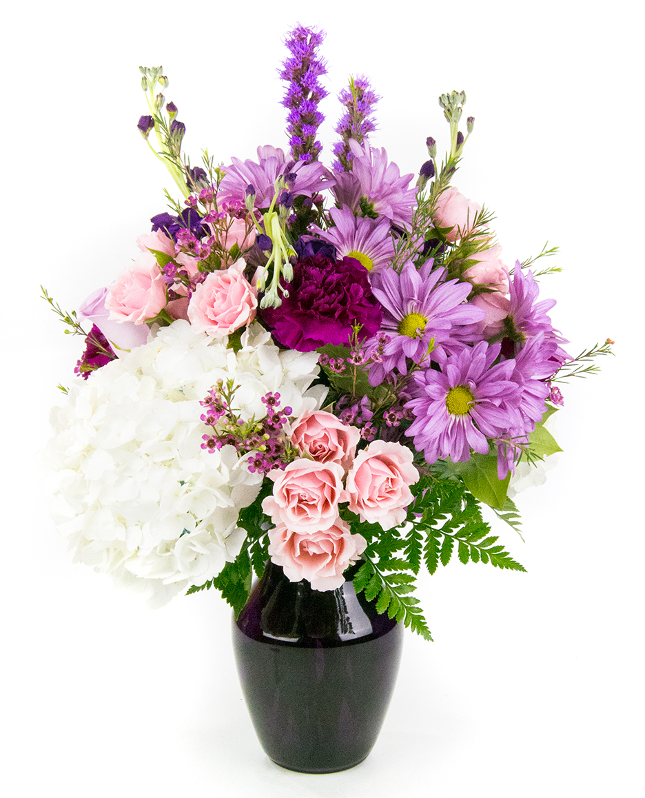 <b>Notice</b>: Undefined index: name in <b>/home/stranges/public_html/shop/vqmod/vqcache/vq2-catalog_view_theme_default_template_product_search.tpl</b> on line <b>386</b>
